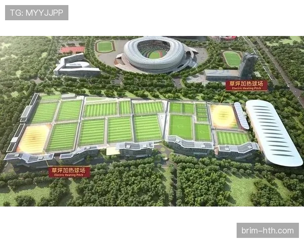 草坪场地规则拆解：职业比赛必须满足哪些标准？